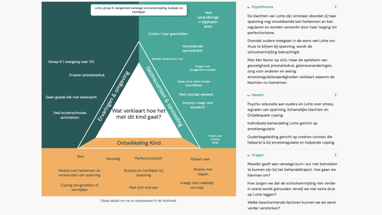 Screenshot van een ingevuld Driehoekmodel met factoren bij kind, gezin en omgeving, plus hypotheses, ideeën en vragen